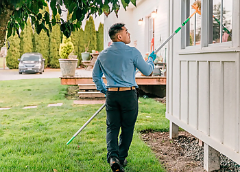 Insight Pest Control Vancouver Pest Control Companies Insight Pest Control