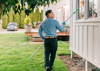 Bellevue Pest Control Companies Insight Pest Control Bellevue