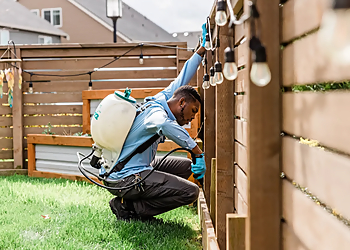 Bellevue Pest Control Companies Insight Pest Control Bellevue