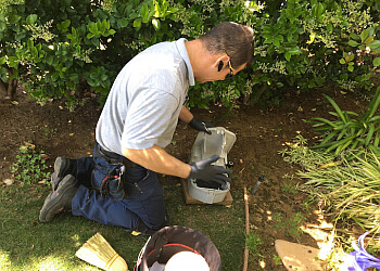 3 Best Pest Control Companies in Thousand Oaks, CA ...