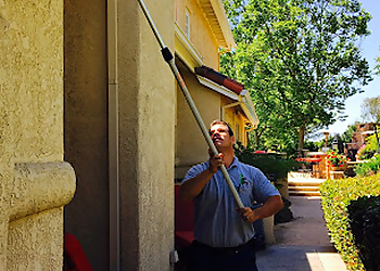 Ventura Pest Control Companies Insight Pest Management