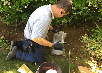 Ventura Pest Control Companies Insight Pest Management