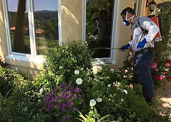 Thousand Oaks Pest Control Companies Insight Pest Management Thousand Oaks