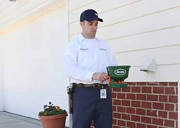 Akron Pest Control Companies Insight Pest Solutions