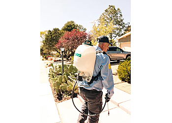 Albuquerque Pest Control Companies Insight Pest Solutions