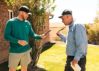 Albuquerque Pest Control Companies Insight Pest Solutions