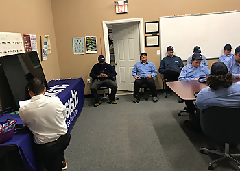 Springfield Pest Control Companies Insight Pest Solutions