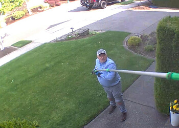 Tacoma Pest Control Companies Insight Pest Solutions, Tacoma