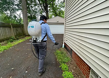 Insight Pest Solutions Cleveland - Cleveland, OH Pest Control Companies - Project Image