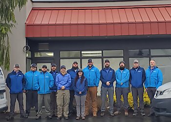 Everett Pest Control Companies Insight Pest Solutions Everett