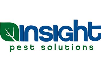 Everett Pest Control Companies Insight Pest Solutions Everett
