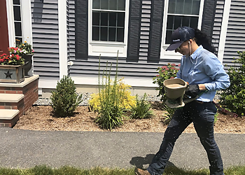 Manchester Pest Control Companies Insight Pest Solutions New Hampshire