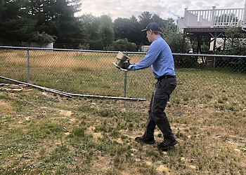 Manchester Pest Control Companies Insight Pest Solutions New Hampshire