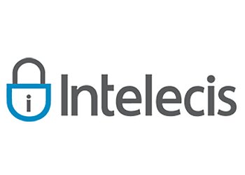 Fullerton It Services Intelecis