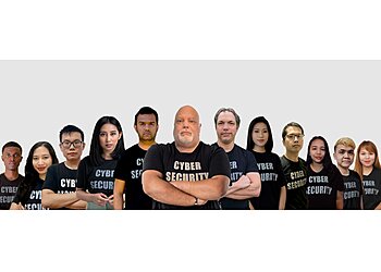 Fullerton It Services Intelecis