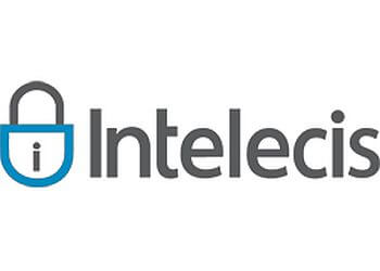 Intelecis-Irvine Irvine It Services
