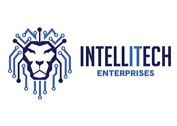 Laredo It Services Intellitech Enterprise Solutions, LLC