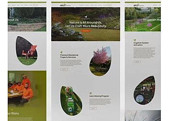 St Louis Web Designers Intergetik Marketing Solutions