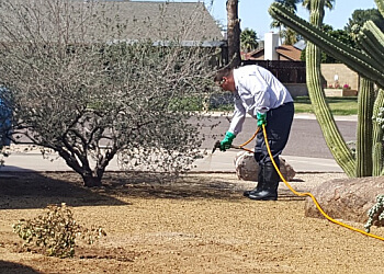 Invader Pest Management - Glendale, AZ Pest Control Companies - Field Work Image