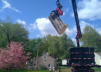 Overland Park Tree Services Iron Giant Tree Removal