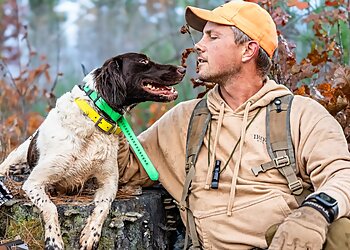 Baltimore Dog Training Iron Oak Dog Company