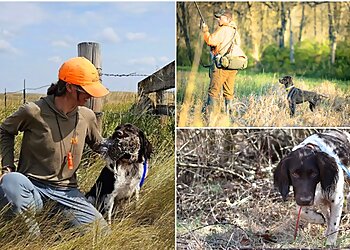 Baltimore Dog Training Iron Oak Dog Company