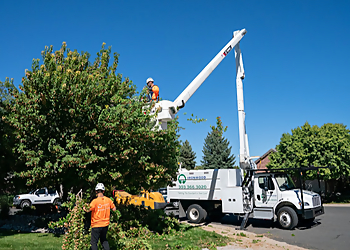 Ironwood Earthcare Aurora Tree Services image 1