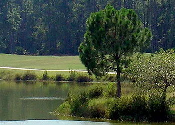 3 Best Golf Courses in Gainesville, FL - Expert Recommendations