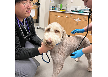 Irvine Veterinary Clinics Irvine Valley Veterinary Hospital