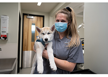 Irvine Veterinary Clinics Irvine Valley Veterinary Hospital