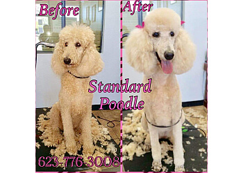 Best Dog Grooming Peoria Az in the world Learn more here 