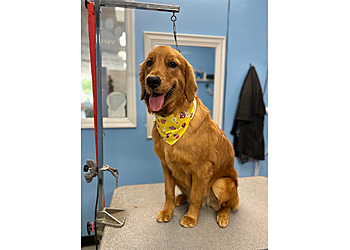 Island Dog Pet Wash & Market Island Dog Pet Wash & Market - Charleston, SC Pet Grooming - Service Highlights