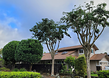 Honolulu Tree Services Island Ohana Tree & Landscaping Services LLC