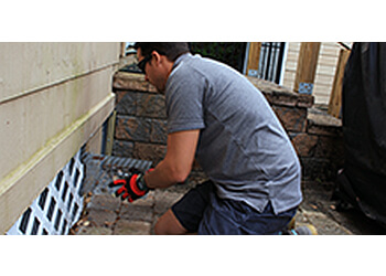 3 Best Animal Removal in Jacksonville, FL - Expert Recommendations