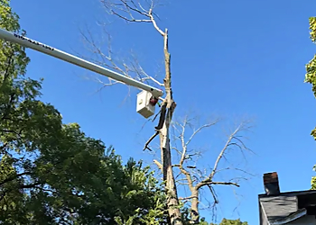 Kansas City Tree Services JC Garay Tree and Lawn Service