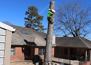 Huntsville Tree Services J&C Tree Experts