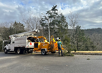 J&C Tree Experts Huntsville Tree Services image 1