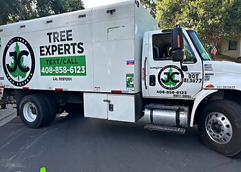 San Jose Tree Services JC Tree Experts