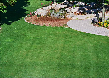 Frisco Landscaping Companies JC's Landscaping LLC