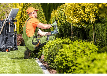 JC's Landscaping LLC Frisco Lawn Care Services