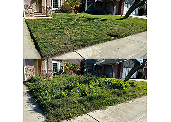 Fontana Lawn Care Services J-House Lawn Care