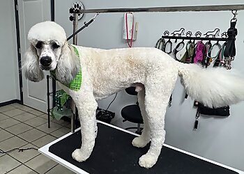 Indianapolis Pet Grooming J & J Pet Grooming