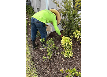 J&J Professional Lawn Care - Glendale, AZ Lawn Care Services - Field Work Image