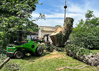 Rochester Tree Services J.M. Tree Service