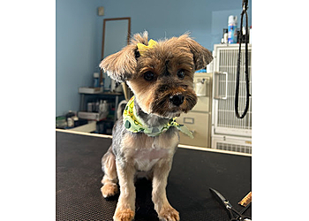 El Monte Pet Grooming JOJO Pet Station