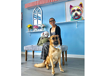 JOJO Pet Station El Monte Pet Grooming image 1