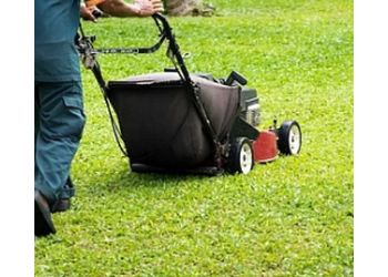 JOSE'S LAWN SERVICE JOSE'S LAWN SERVICE
