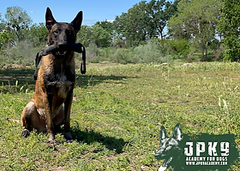 JPK9 Academy - Elk Grove, CA Dog Training - Service Highlights