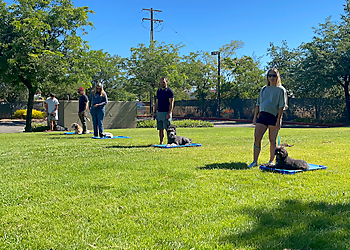JPK9 Academy JPK9 Academy - Elk Grove, CA Dog Training - Service Image