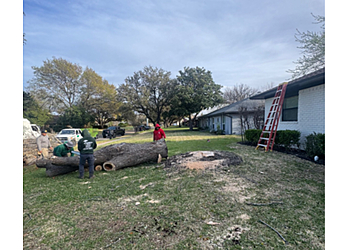 JP Tree Services, LLC - Dallas, TX Tree Services